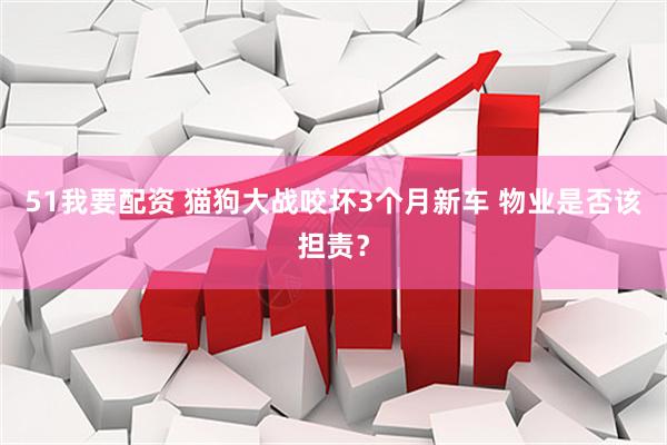 51我要配资 猫狗大战咬坏3个月新车 物业是否该担责？
